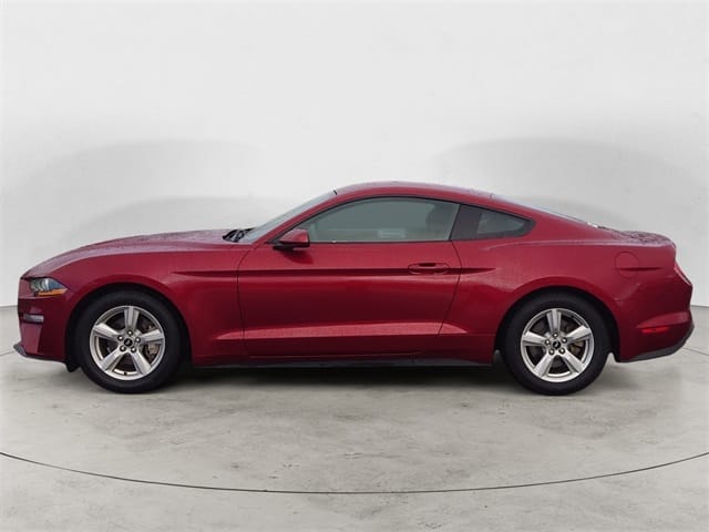 Used 2019 Ford Mustang EcoBoost 2D Coupe – 1FA6P8TH1K5181482